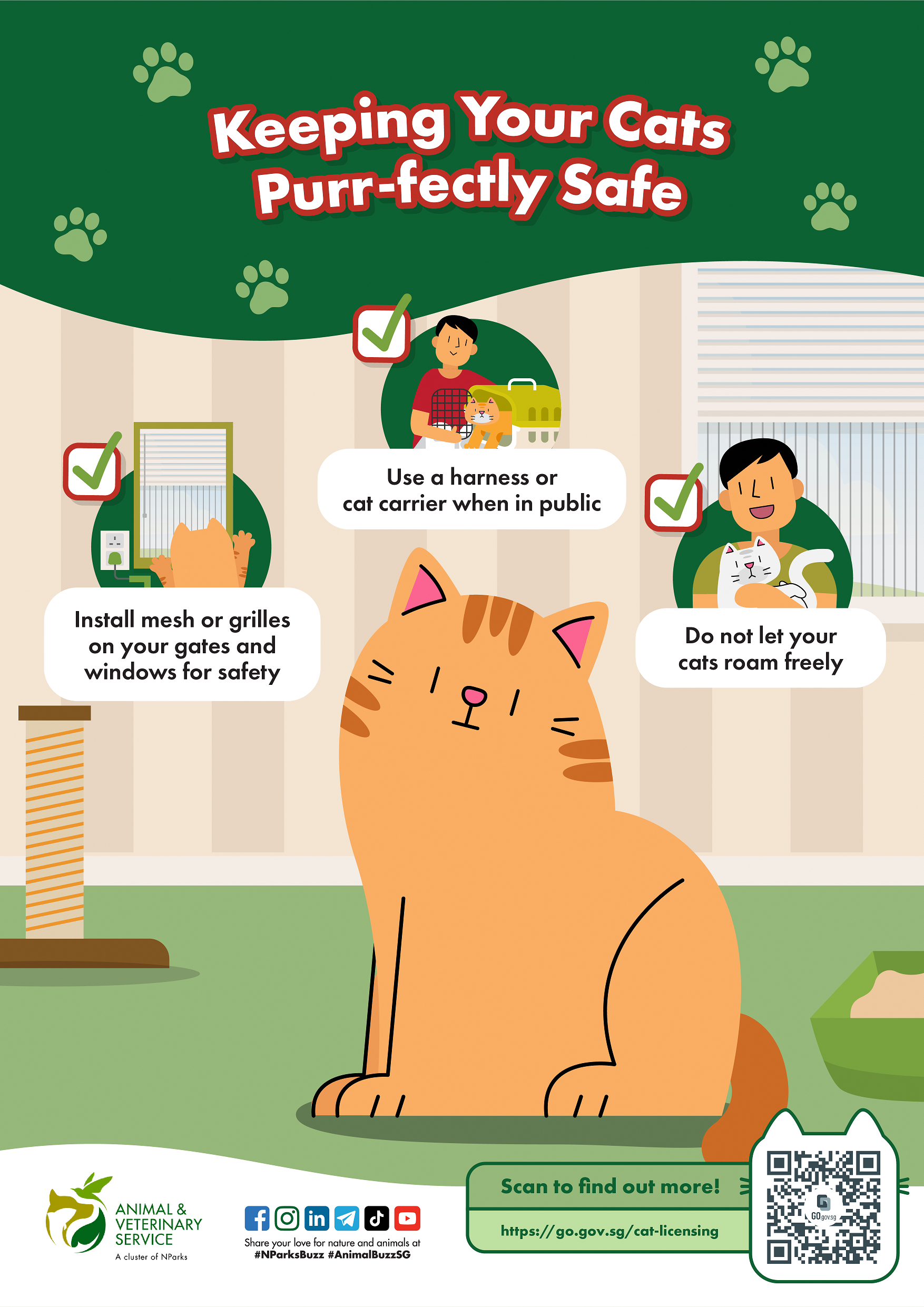 An infographic on how to keep cats in a safe environment